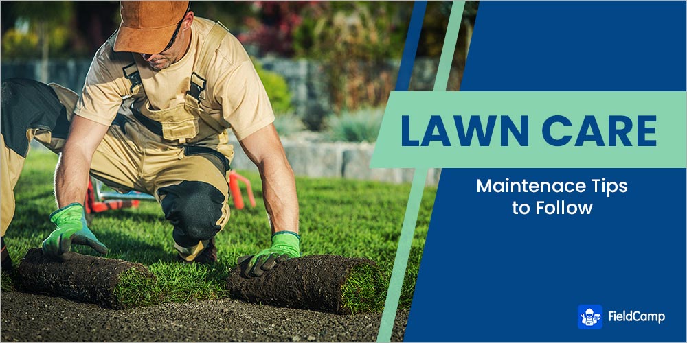 lawn care maintenance tips to follow