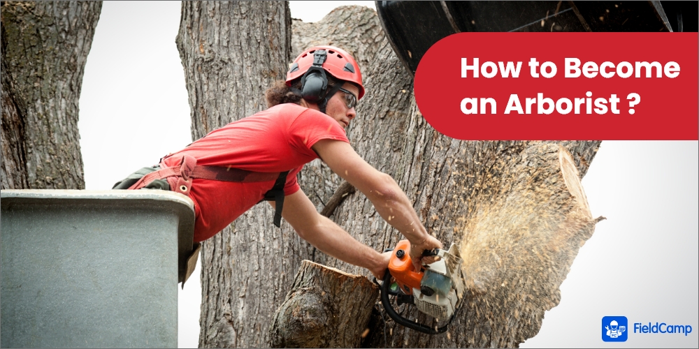 How to become an arborist