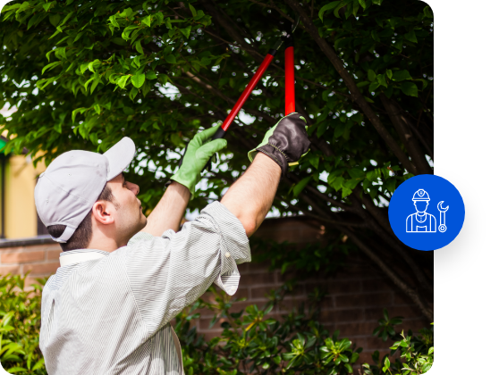 Use tree care software to ease your manual efforts